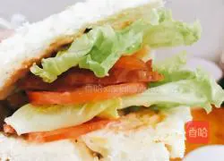  Illustration of how to make ham sandwich 4