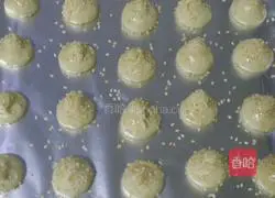 Sesame protein (thin) shortbread recipe 10