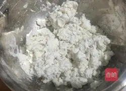 Illustration of homemade stuffed glutinous rice balls 2