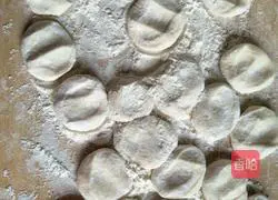 Illustration of how to make leek and pork dumplings 4