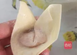 Illustration of how to make wontons 9