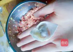 Illustration of how to make wontons 5