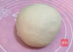 Illustration of how to make beef dumplings 2