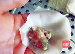 Illustration of how to make wontons 6