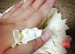 Illustration of how to make wontons 4
