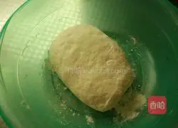 Illustration of how to make mushroom, pork and carrot dumplings 4