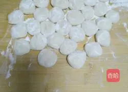 Illustration of how to make pork and fennel dumplings 9