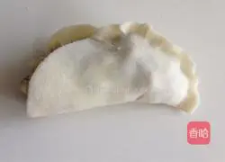 Pisces Tai Chi Dumplings Recipe Illustration 12