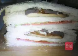 Illustration of homemade sandwiches 10