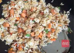 Illustration of Sanding Fried Rice 10