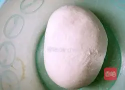 Dumpling recipe illustration 8