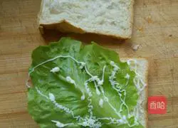 Illustration of how to make a sandwich 2