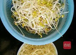 Cold noodles (original taste) Sichuan style illustration 1