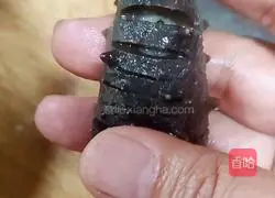 Millet and Sea Cucumber Porridge Recipe Illustration 5