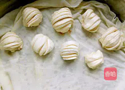 Illustration of how to make salt and pepper rolls 13