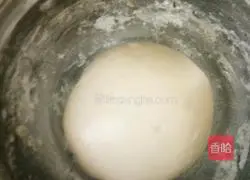 Illustration of how to make hamburger embryos 6