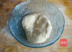 Illustration of how to make vegetarian pot stickers 1