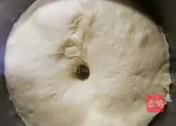 Coconut burger embryo (Polish species) recipe 6