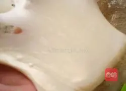 Illustration of how to make hamburger embryos 5