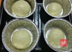 Illustration of how to make hamburger embryos 4