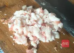 Spring roll recipe illustration 2