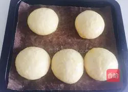 Illustration of how to make hamburger embryos 8