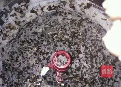 Illustration of how to make vegetarian pot stickers 2