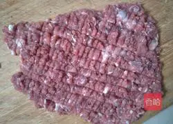 Spring Rolls Illustration of how to do it 1