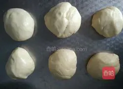 Illustration of how to make basic hamburger embryos 6