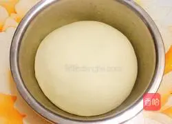 Illustration of how to make hamburger embryos 7