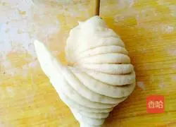 Illustration of how to make salt and pepper shell flower rolls 20