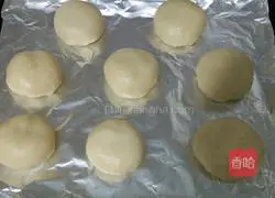 Illustration of how to make hamburger embryos 9