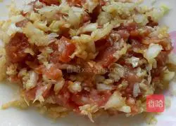 Illustration of homemade cabbage and pork pot stickers 10