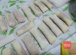 Illustration of homemade colorful vegetable spring rolls 10