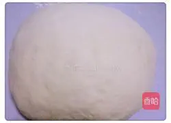 Walnut and sesame rolls Illustration of how to do it 8