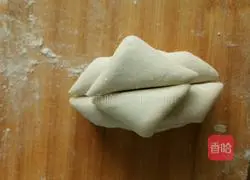 Illustration of making lotus roll 11