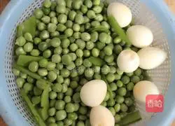 Illustration of how to make bacon clay pot rice 3