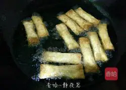 Illustration of homemade spring rolls 14