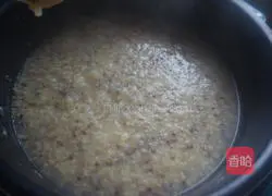 Chia Seeds, Quinoa and Millet Porridge Recipe Illustration 7