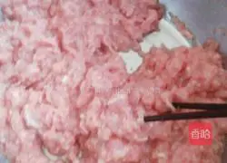 Nanjing Beef Pot Stickers Recipe Illustration 6