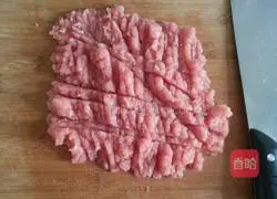 Illustration of how to make hamburgers in spring 1