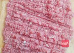 Nanjing Beef Pot Stickers Recipe Illustration 4