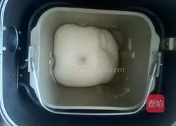 Illustration of how to make hamburger embryos 4