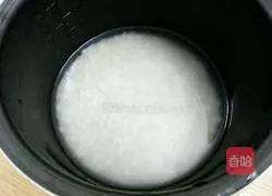 Illustration of tomato braised rice 2