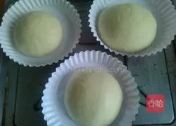 Illustration of how to make hamburger embryos 6