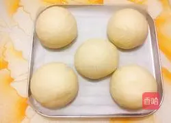 Illustration of how to make hamburger embryos 10