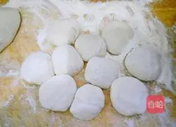 Zucchini pot stickers recipe 6