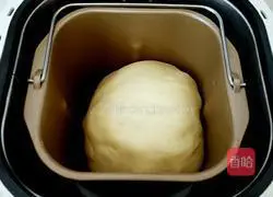 Illustration of how to make a puppy chew a bone burger 4