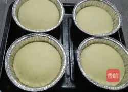 Illustration of how to make hamburger embryos 5