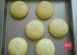 Illustration of how to make hamburger embryos (one-time fermentation) 4